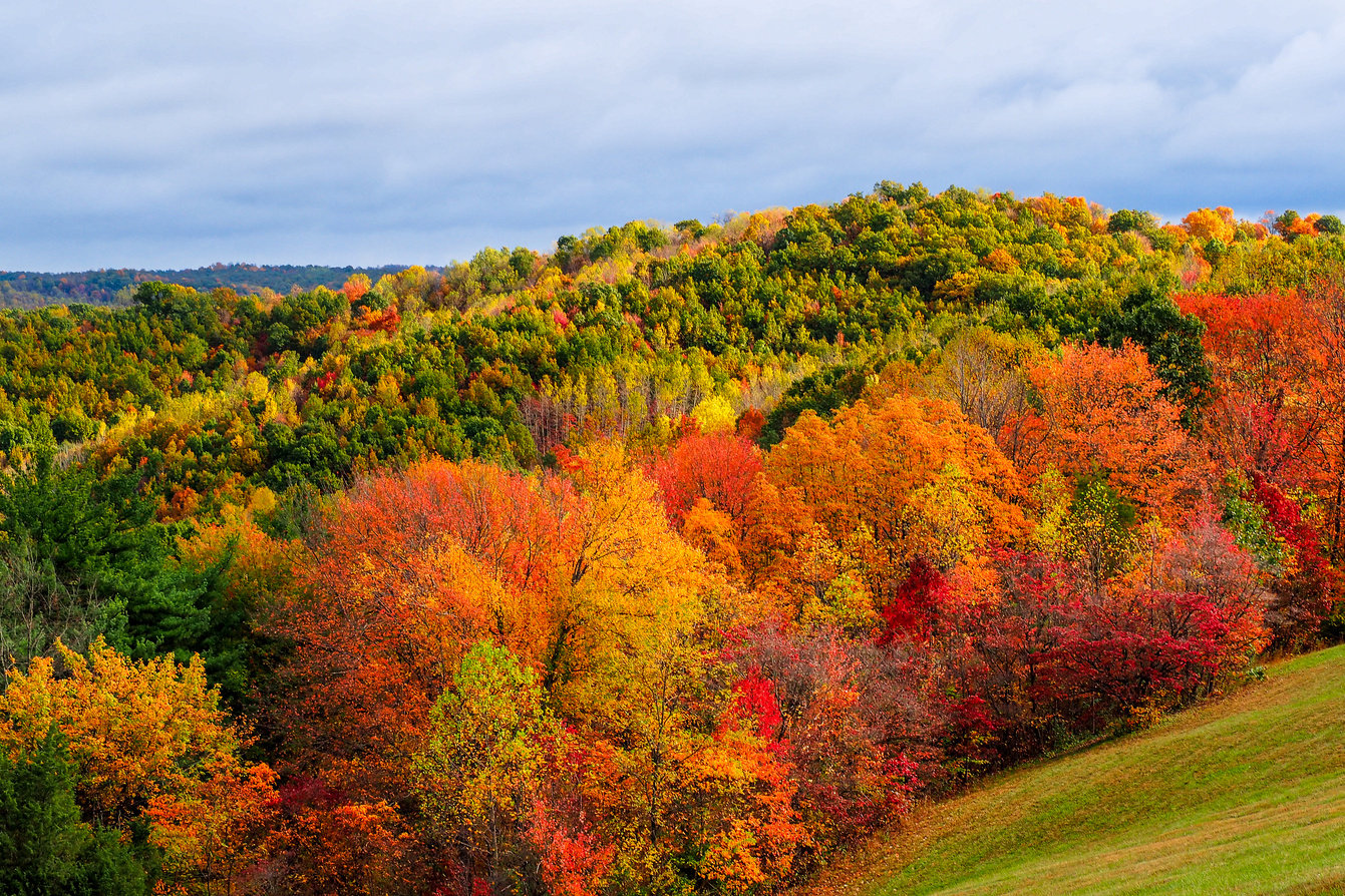 Fall colors in Hocking Hills Ohio