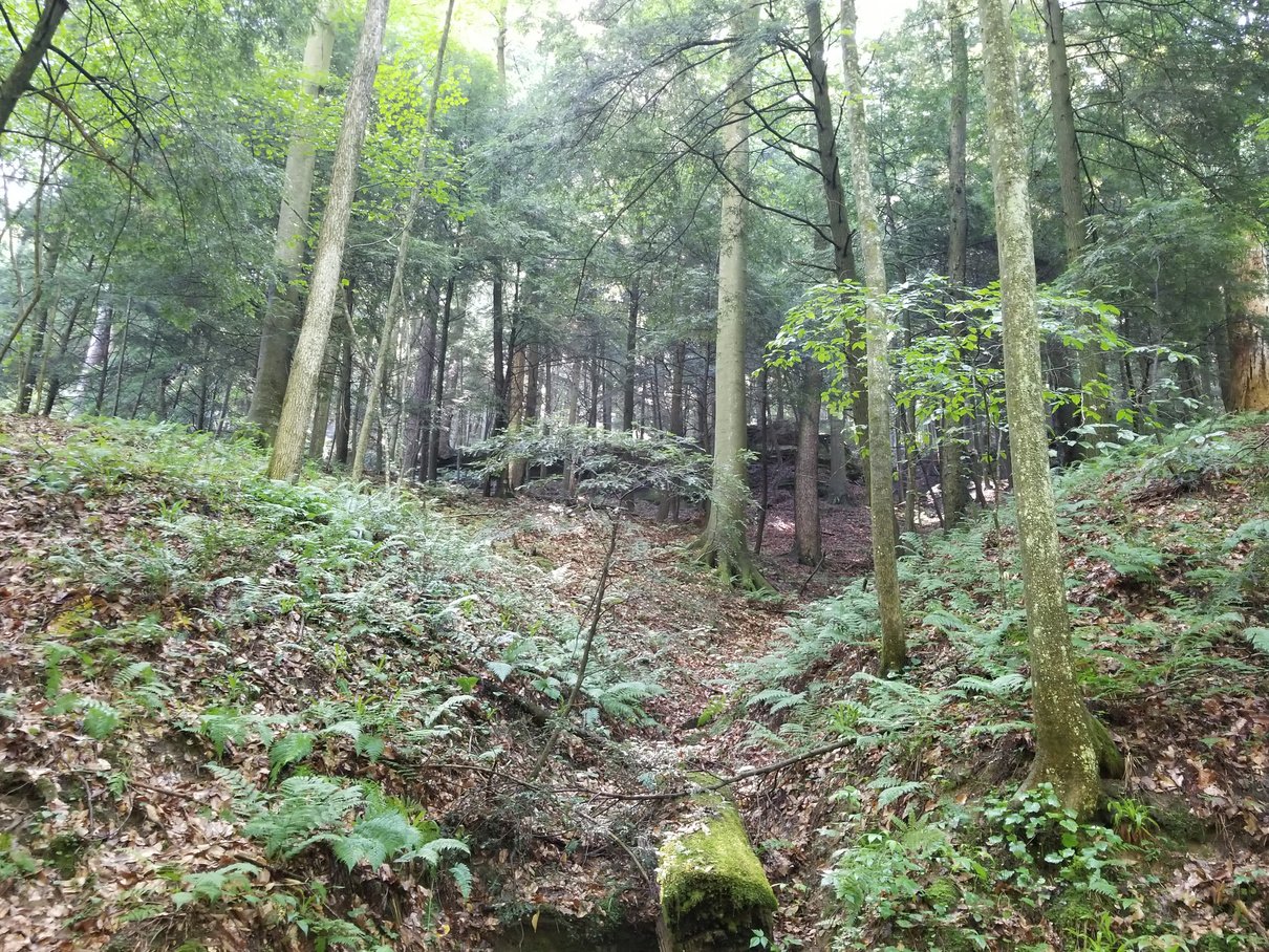 Hocking Hills Ohio